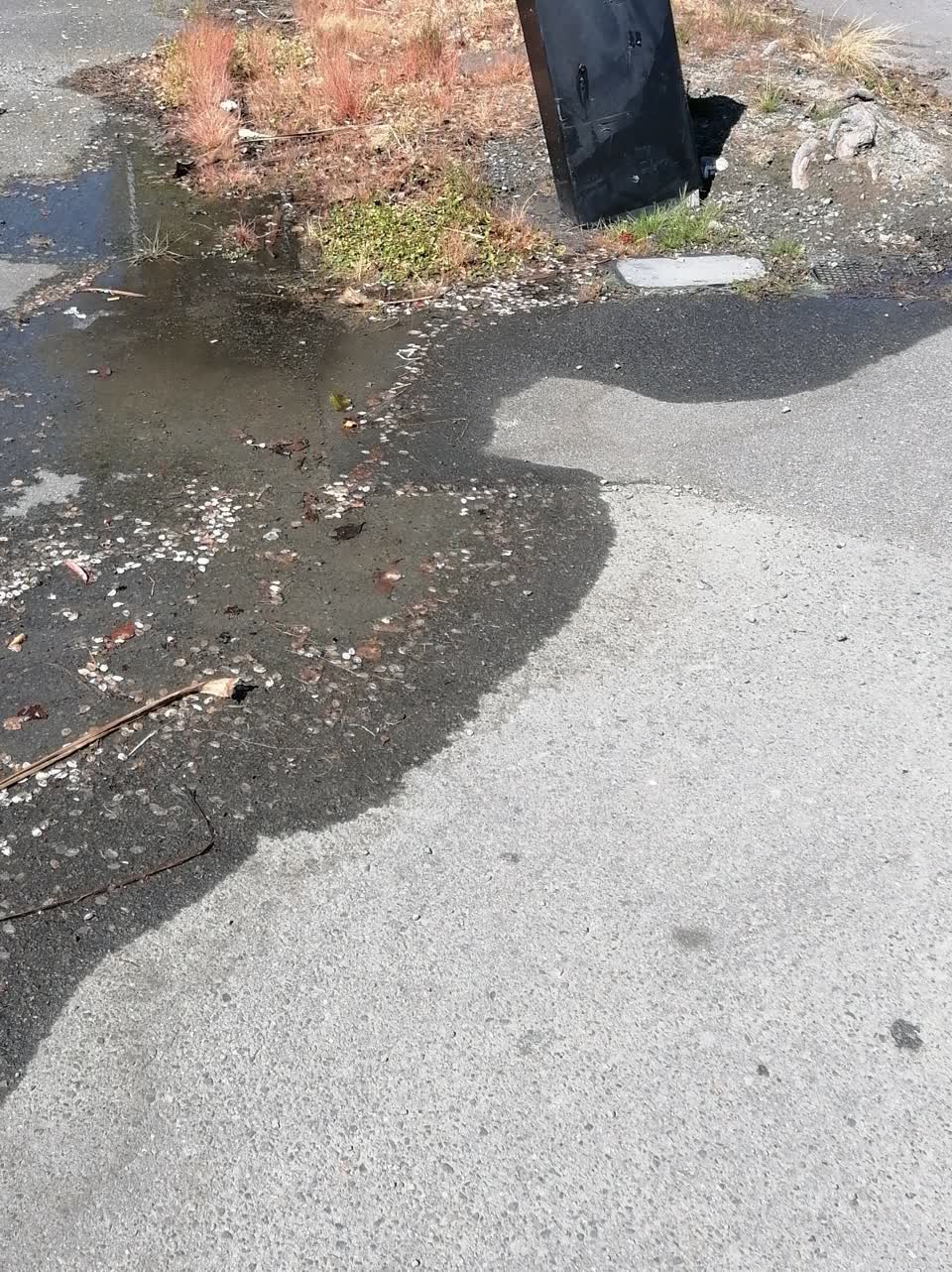 The photograph attached to this water leak report