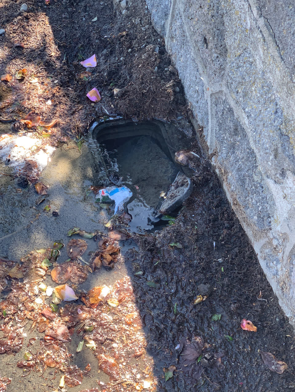 The photograph attached to this water leak report