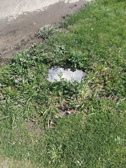 Water Leak, a report photo