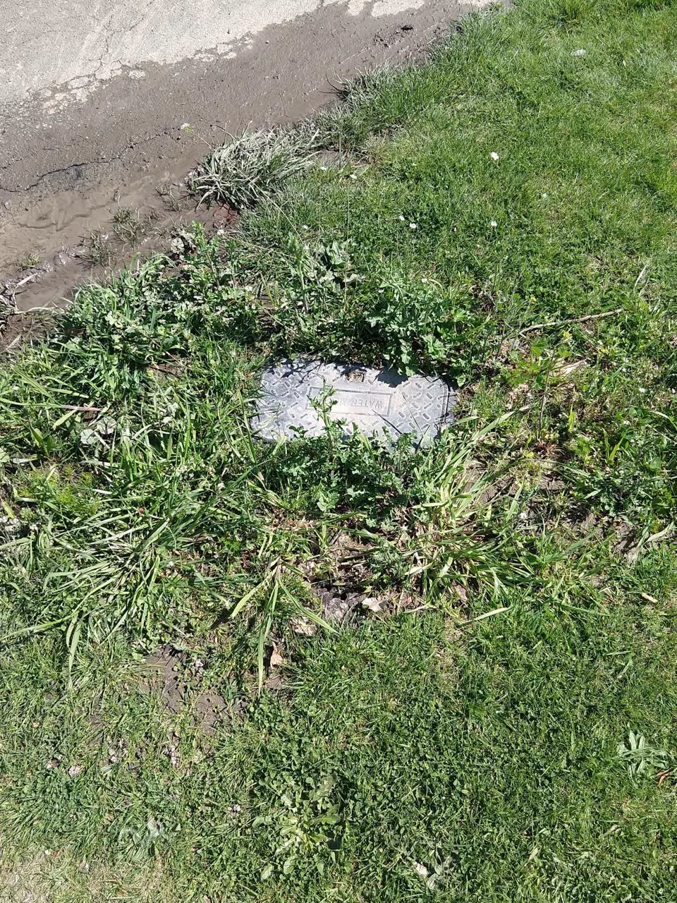 The photograph attached to this water leak report