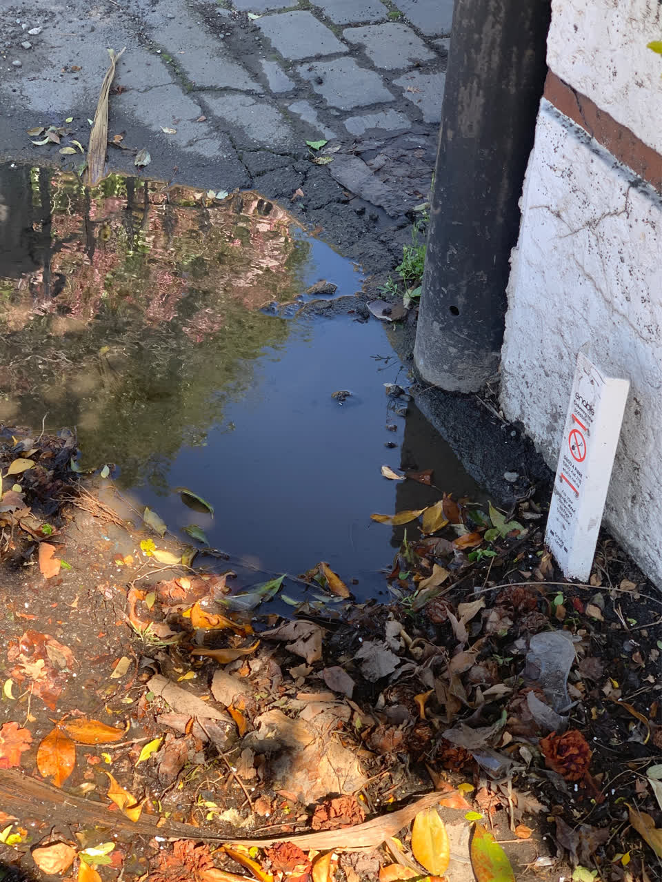 The photograph attached to this water leak report