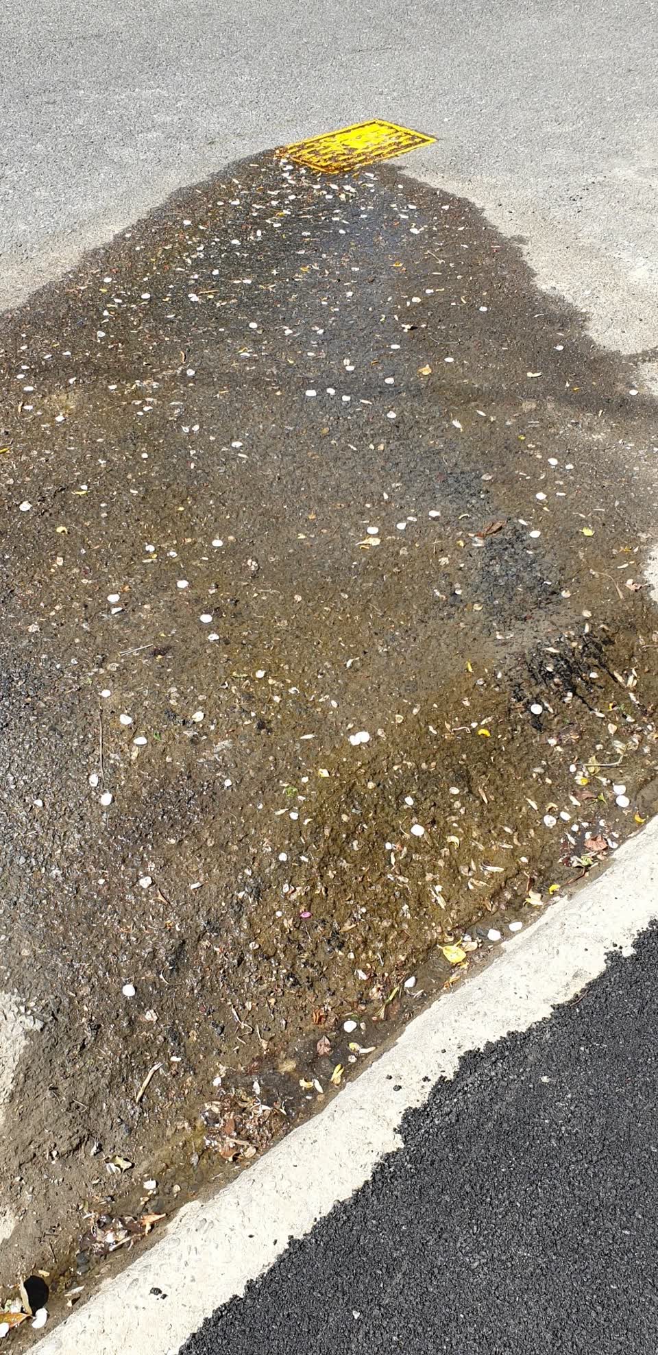 The photograph attached to this water leak report