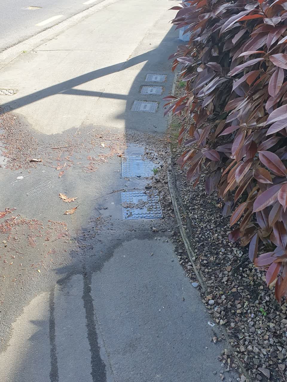 The photograph attached to this water leak report
