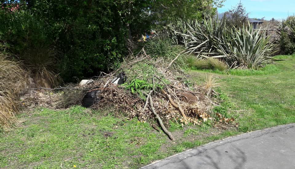 The photograph attached to this parks report