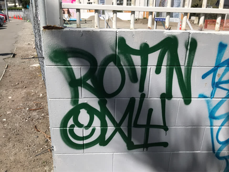 The photograph attached to this graffiti report