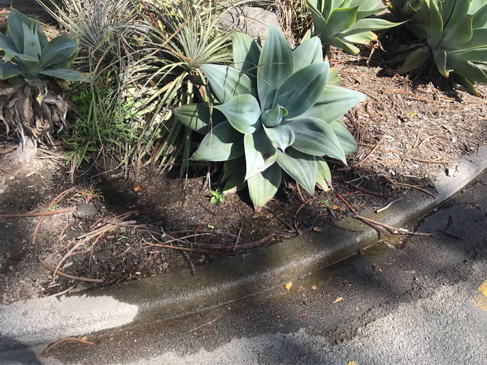 The photograph attached to this water leak report