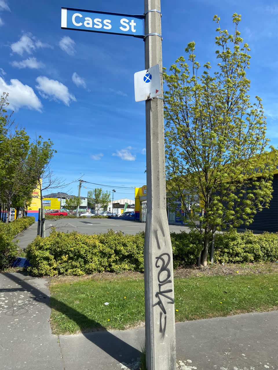 The photograph attached to this graffiti - concrete street light pole report