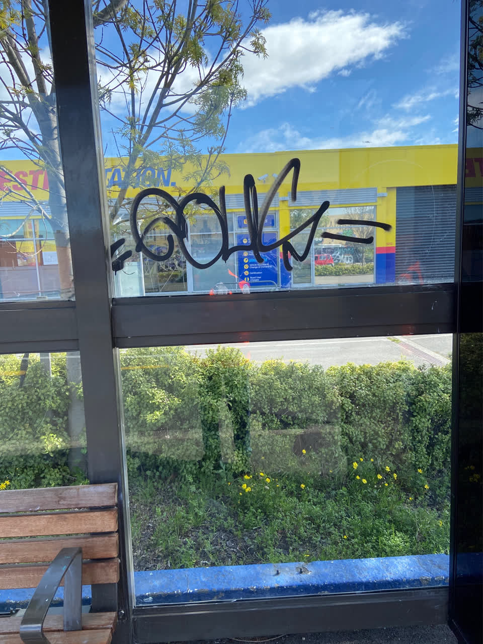 The photograph attached to this graffiti - public property report