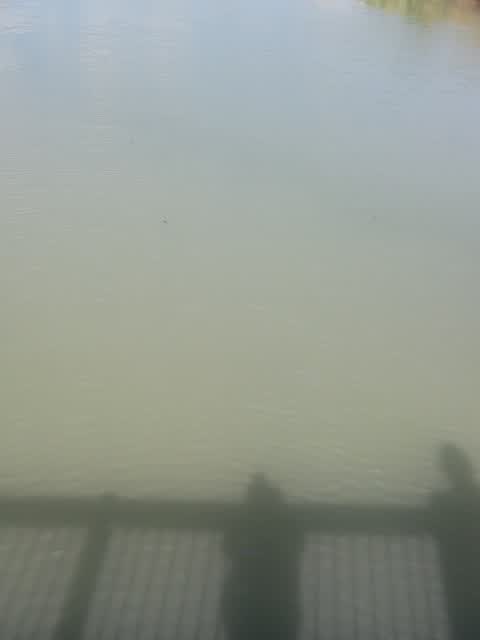 Pollution - General, a report photo