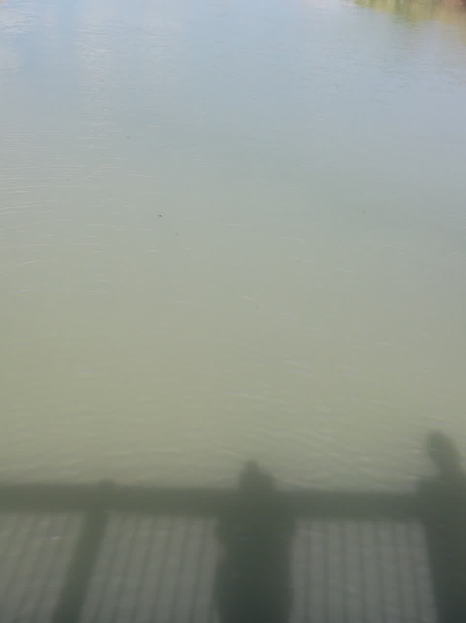 The photograph attached to this pollution - general report