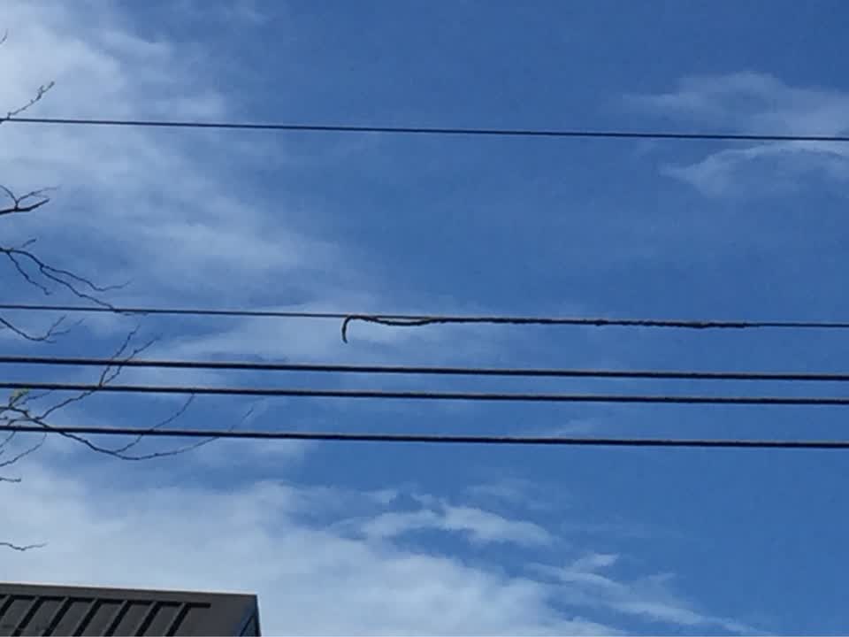 The photograph attached to this poles and signage - general report