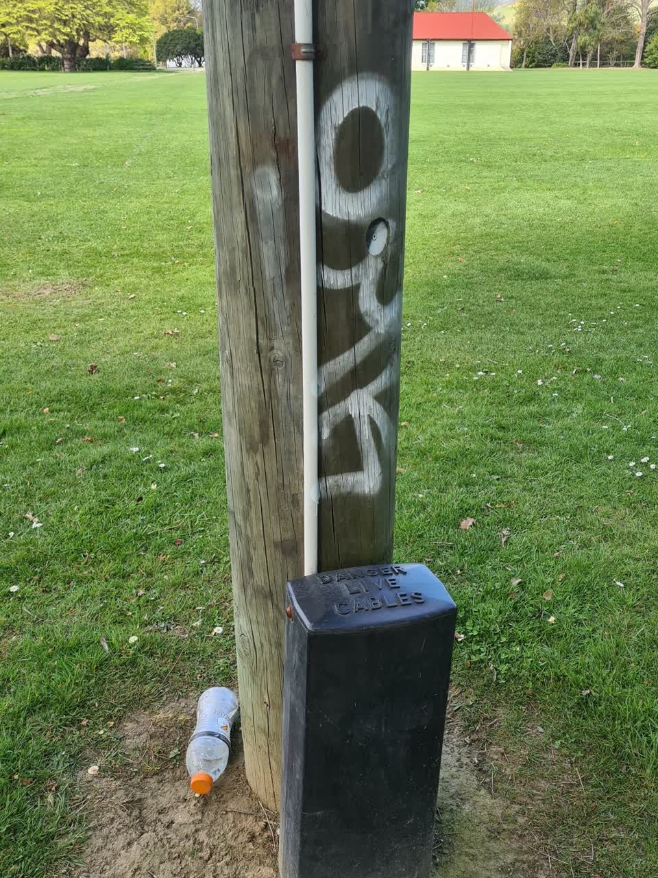 The photograph attached to this graffiti - public property report