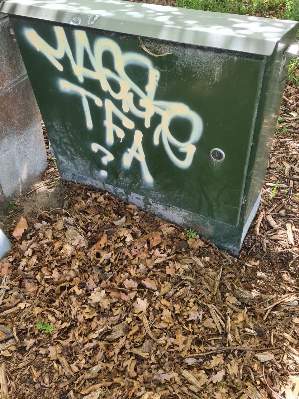 The photograph attached to this graffiti - public property report
