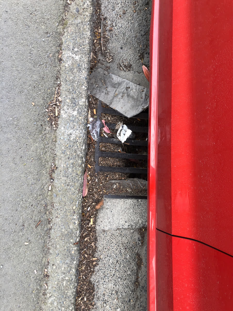 The photograph attached to this pavement - general report