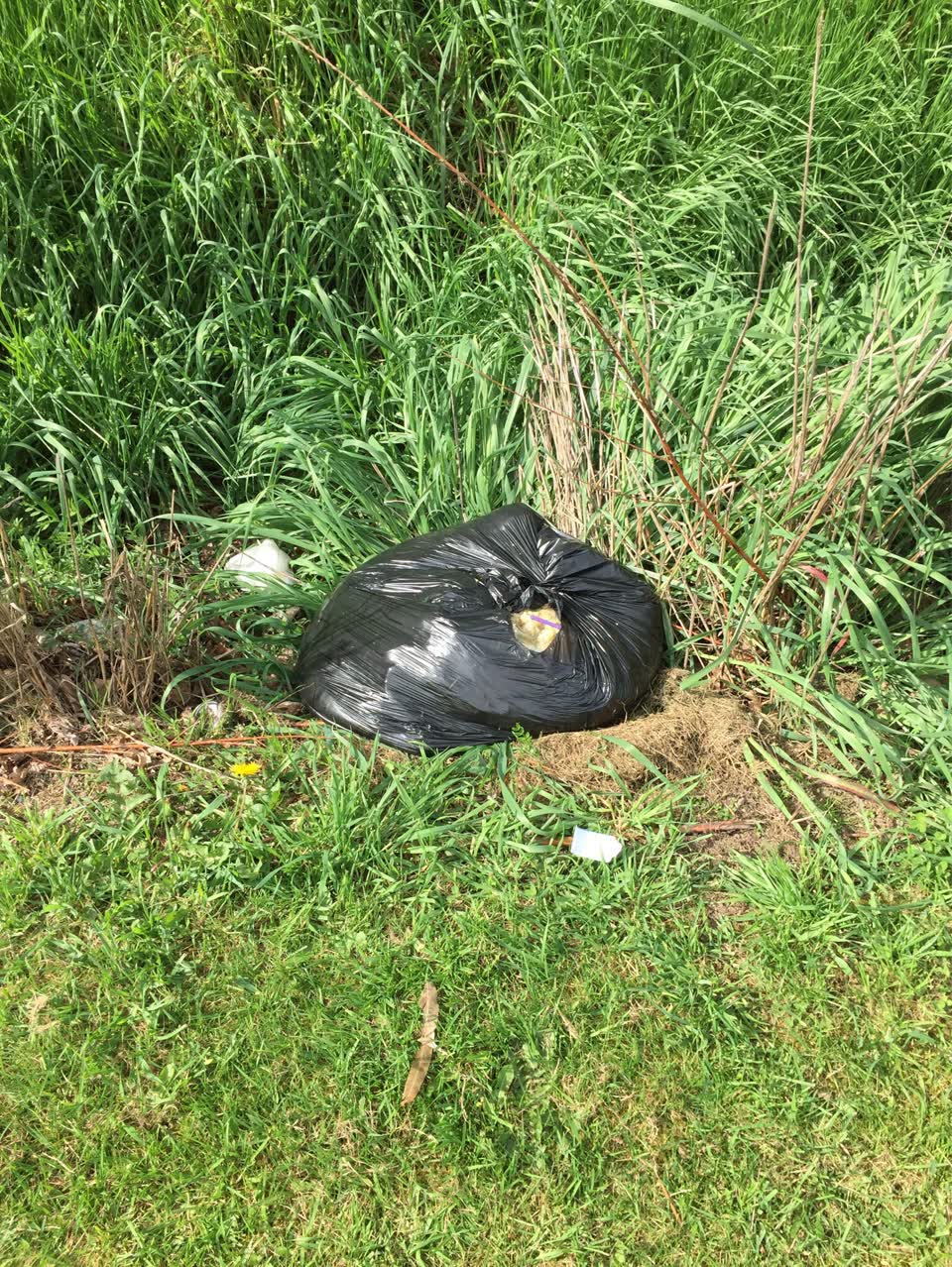 The photograph attached to this dumped rubbish report