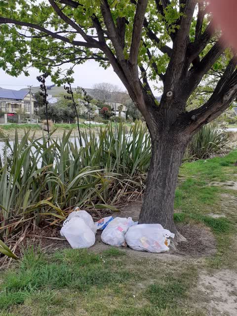Dumped Rubbish, a report photo
