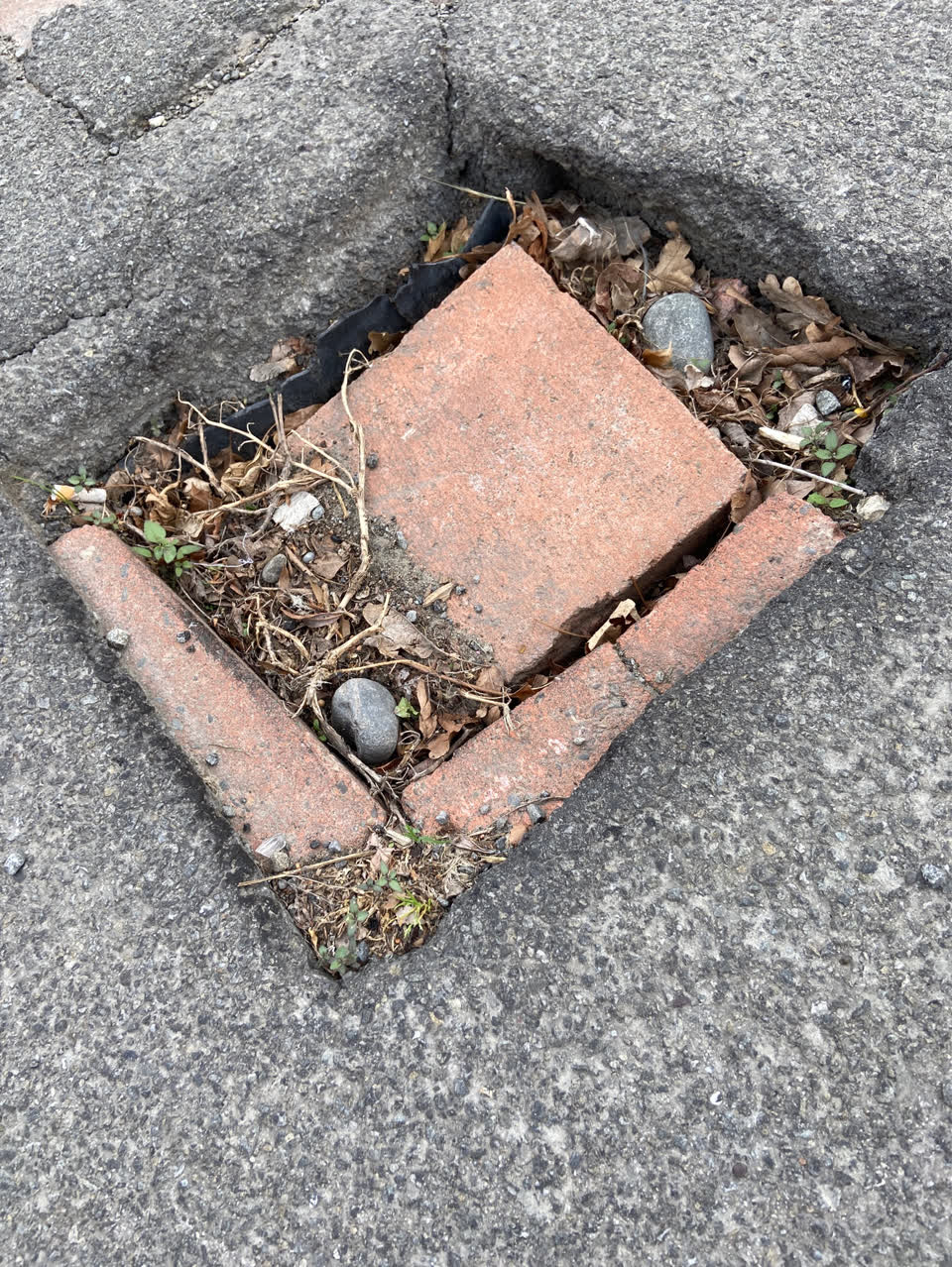 The photograph attached to this pothole report