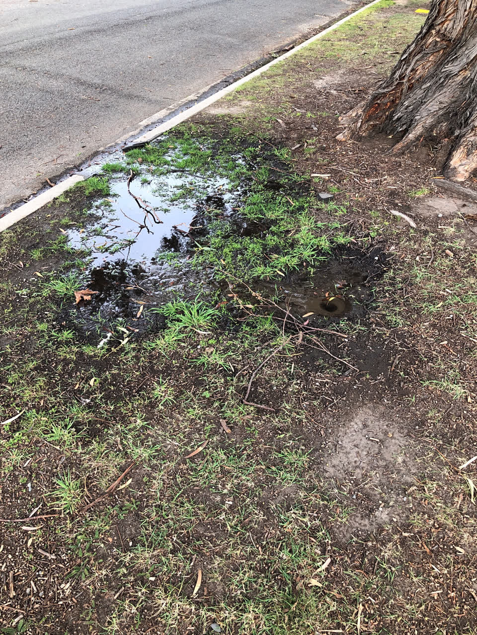 The photograph attached to this water leak report
