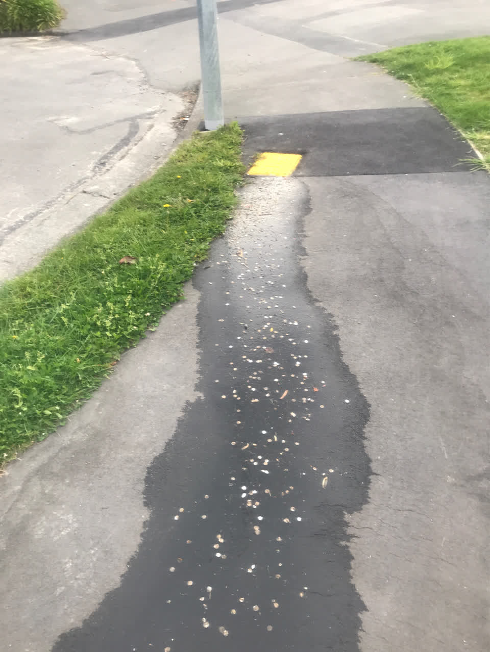 The photograph attached to this water leak report