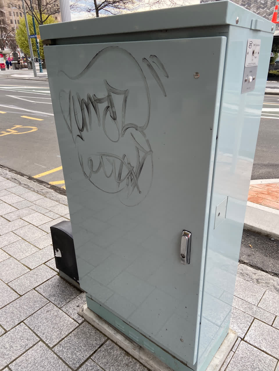 The photograph attached to this graffiti - public property report