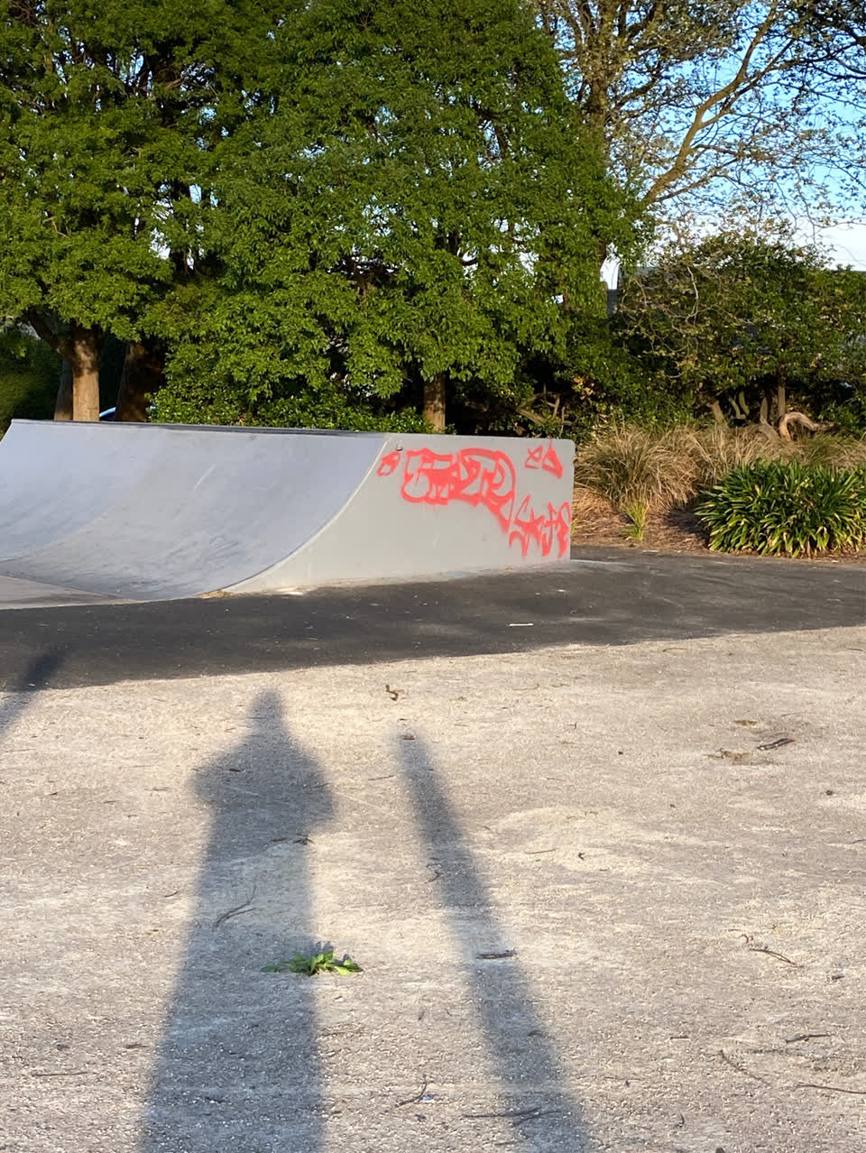 The photograph attached to this graffiti - public property report