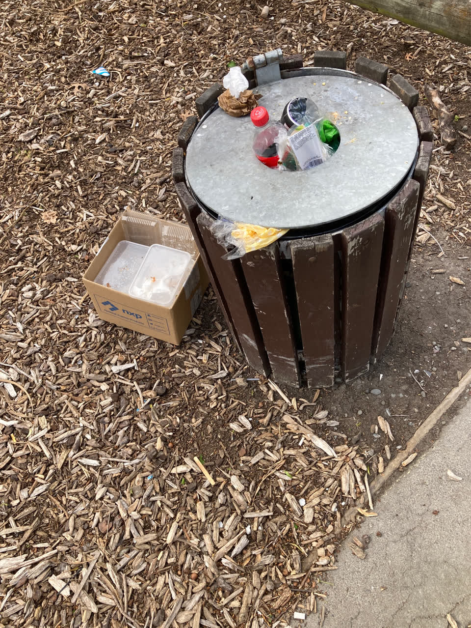 The photograph attached to this rubbish and bins - general report