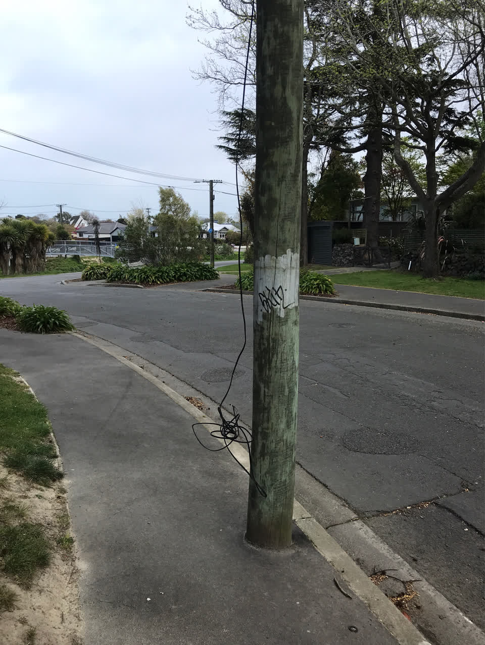 The photograph attached to this street light outage report