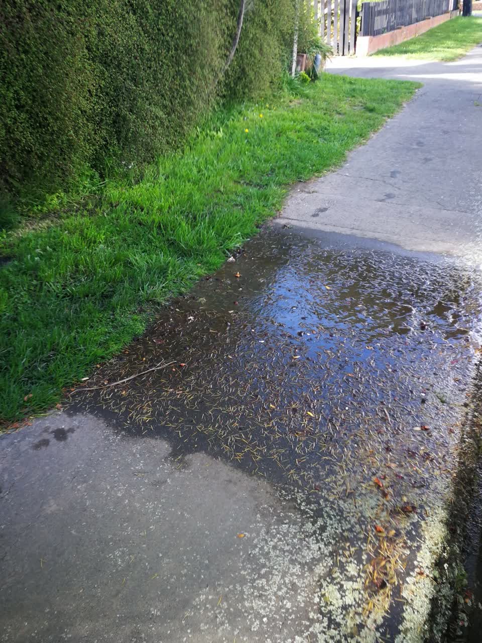 The photograph attached to this water leak report