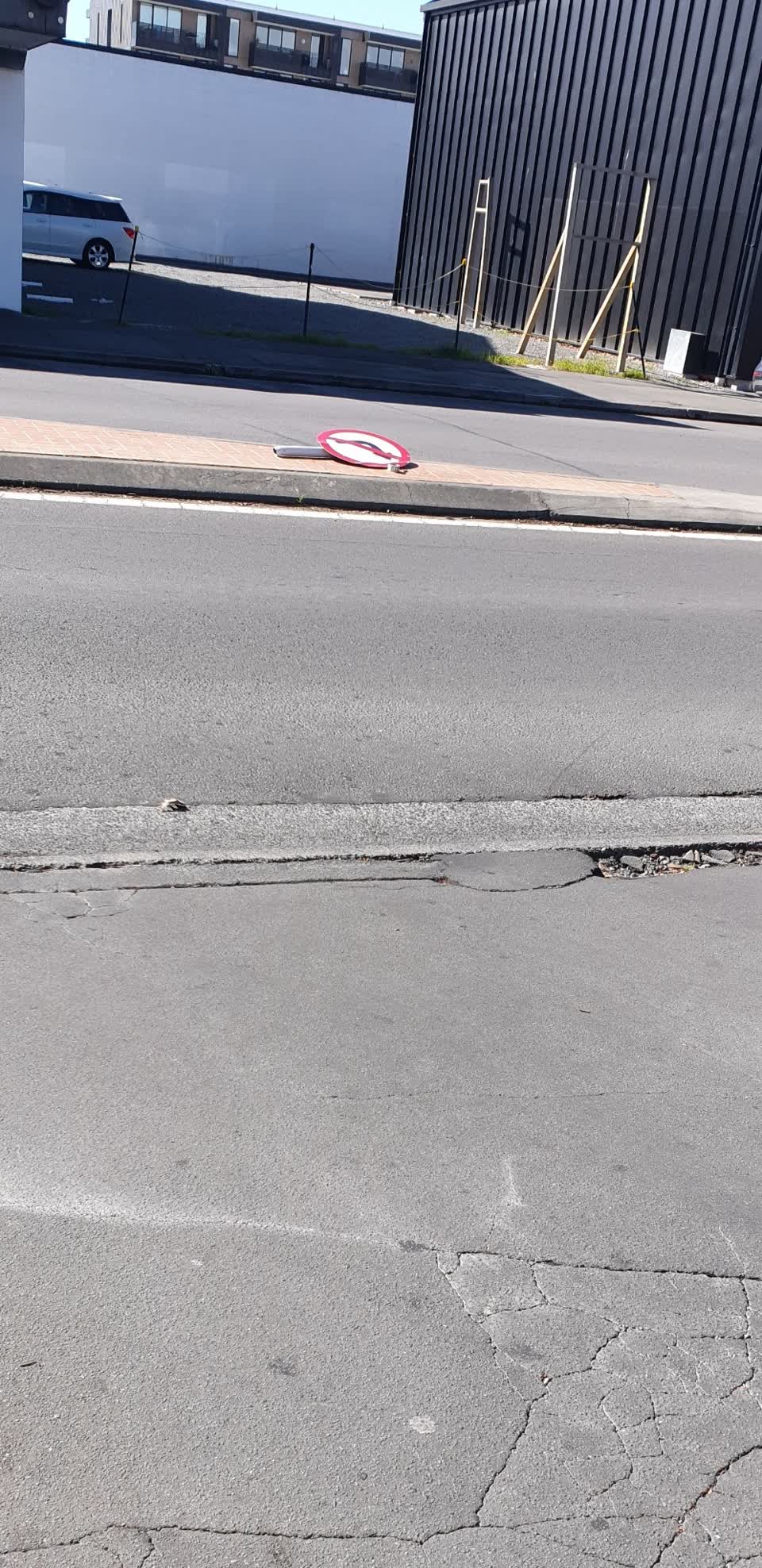 The photograph attached to this road signage report