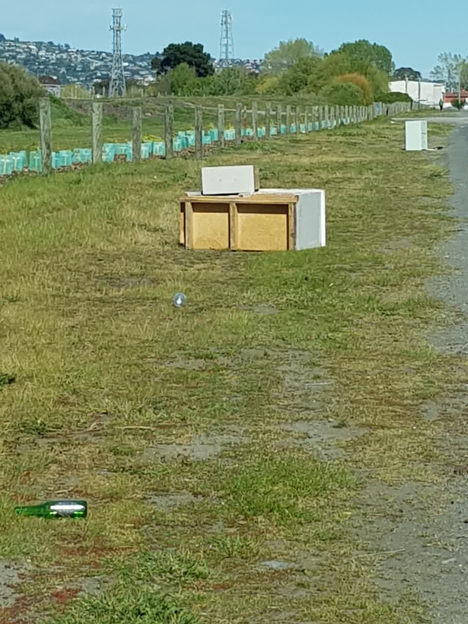 The photograph attached to this dumped rubbish report