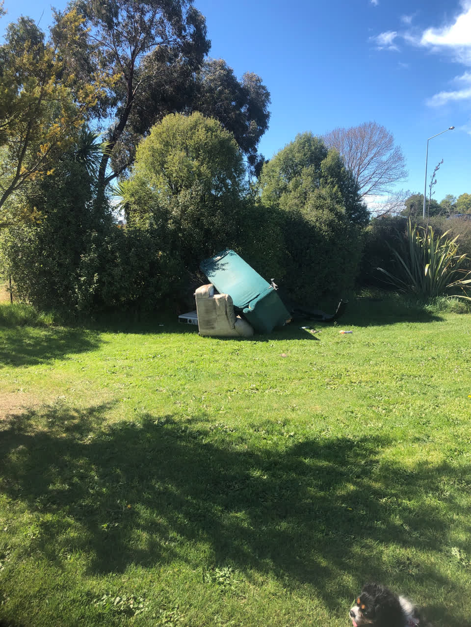 The photograph attached to this dumped rubbish report