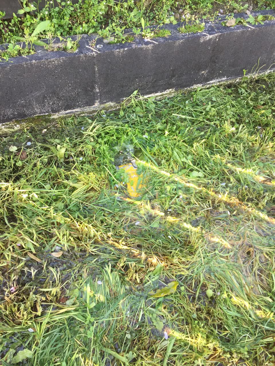 The photograph attached to this water leak report