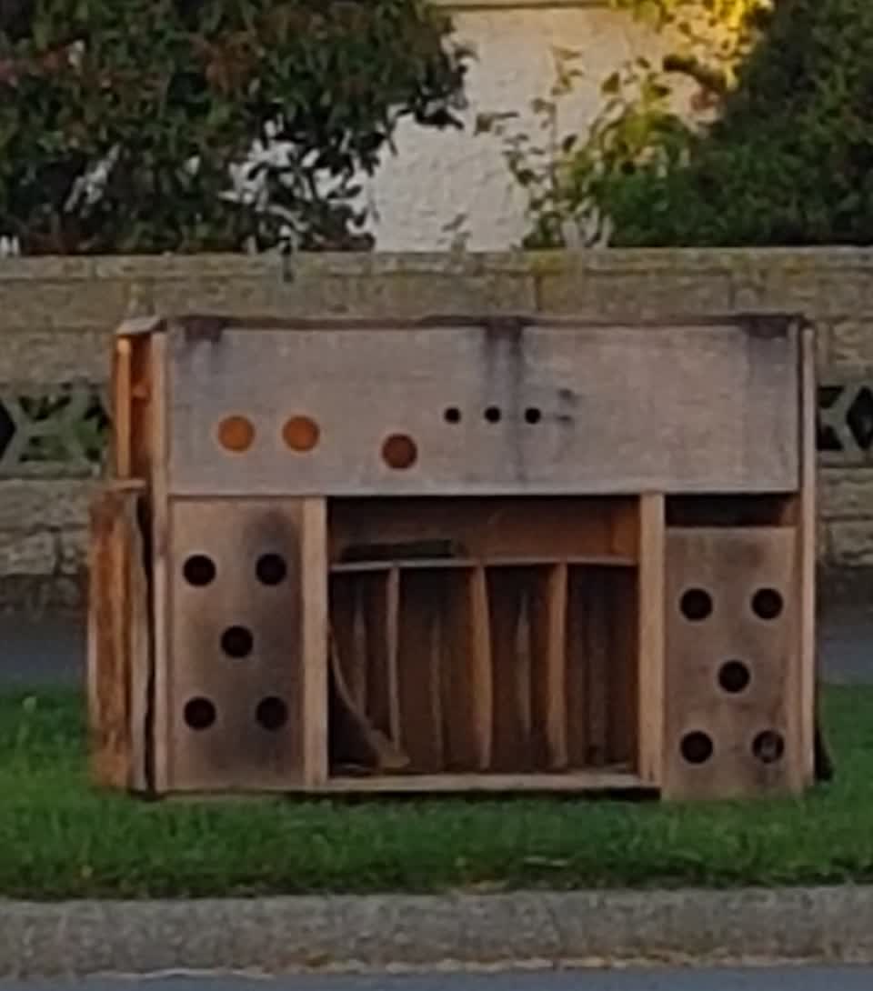 The photograph attached to this dumped rubbish report