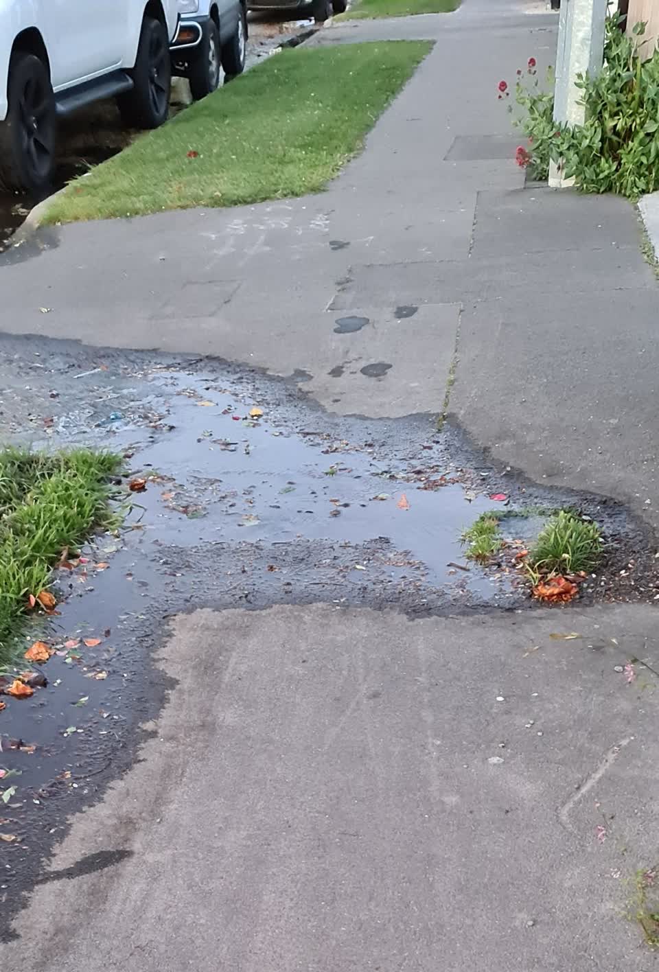 The photograph attached to this water supply report