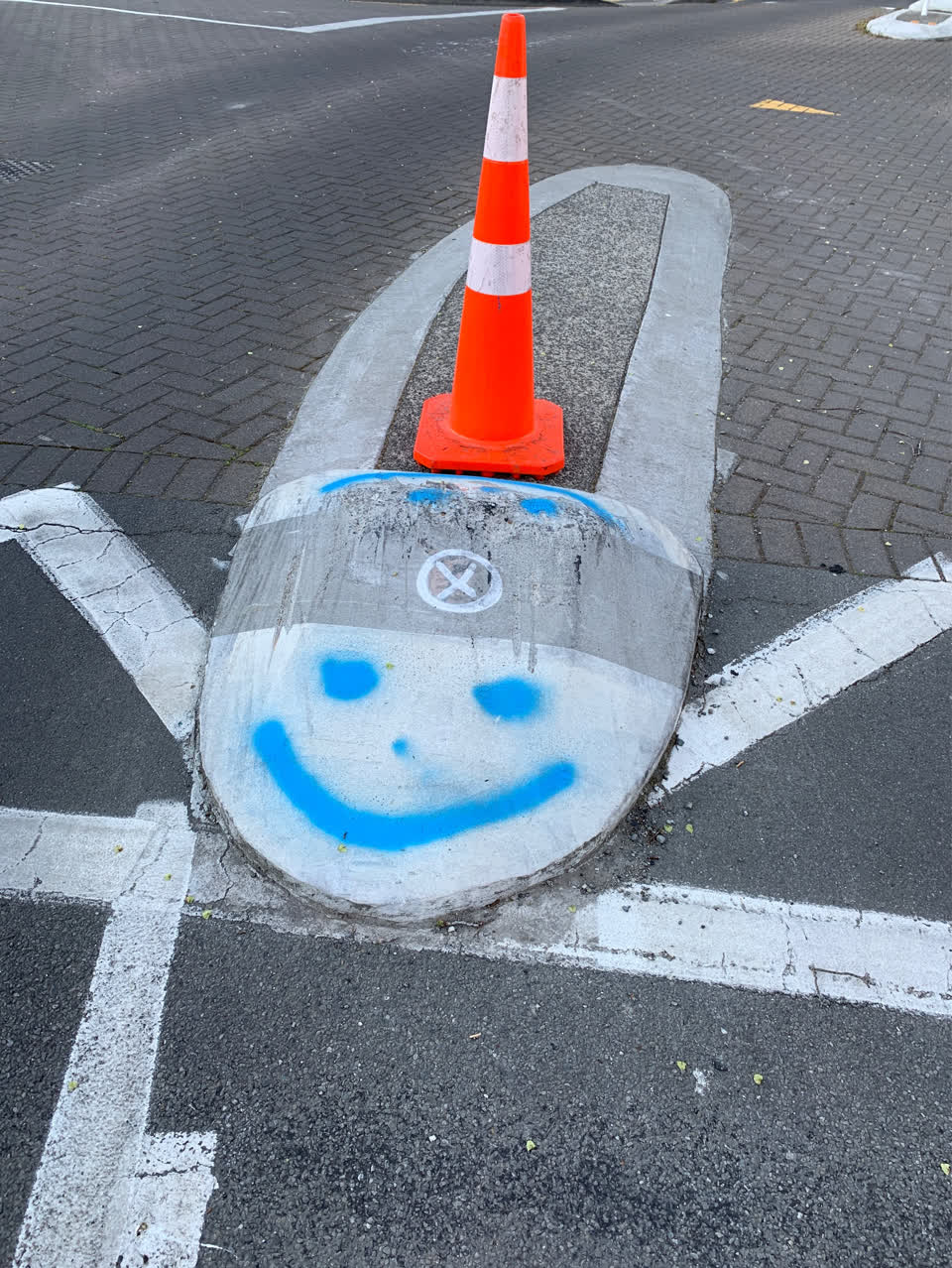 The photograph attached to this graffiti - signage report