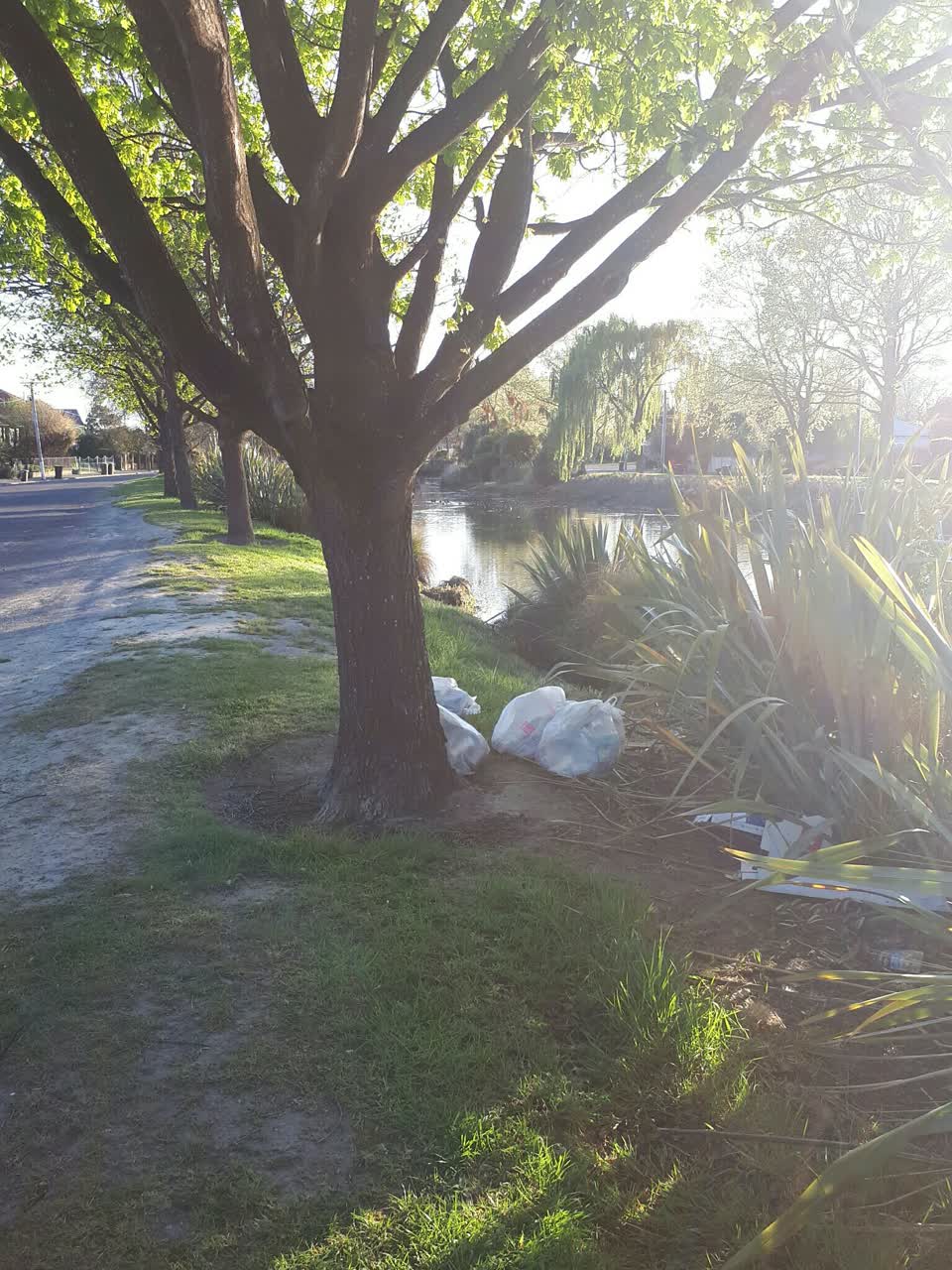 The photograph attached to this dumped rubbish report