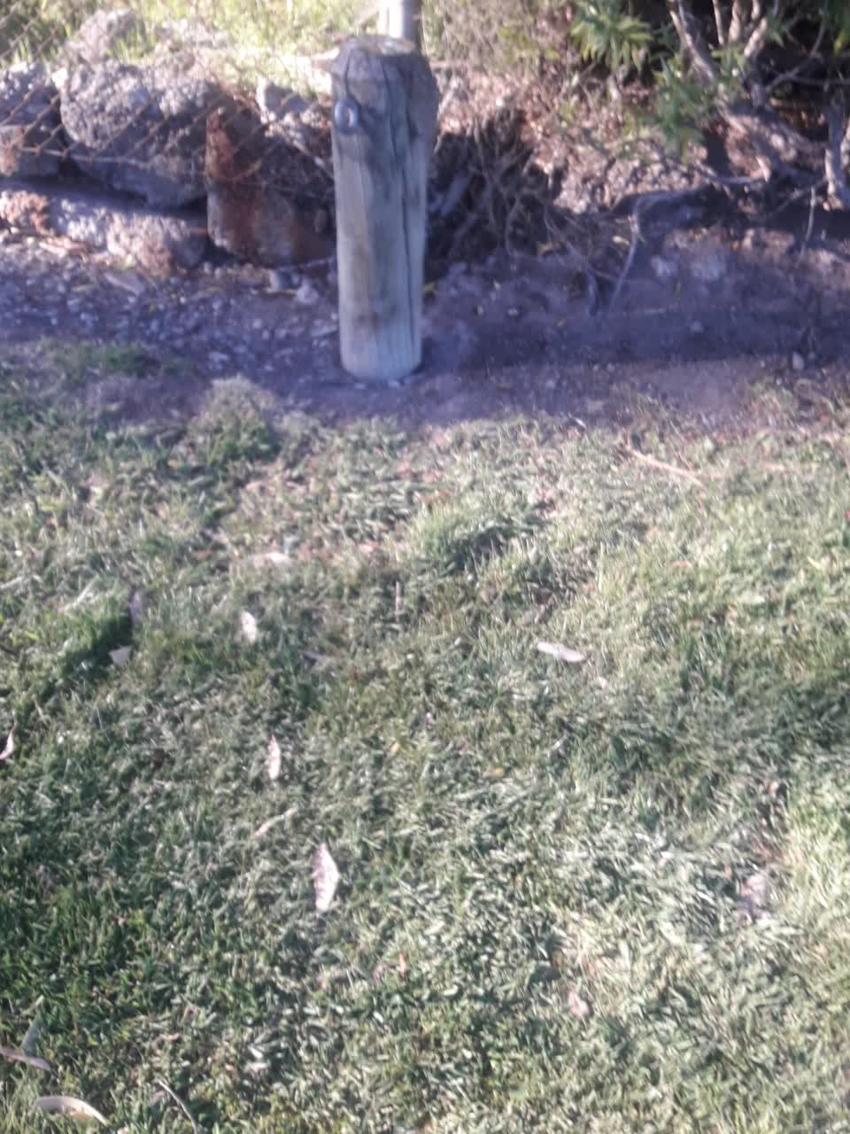The photograph attached to this parks report