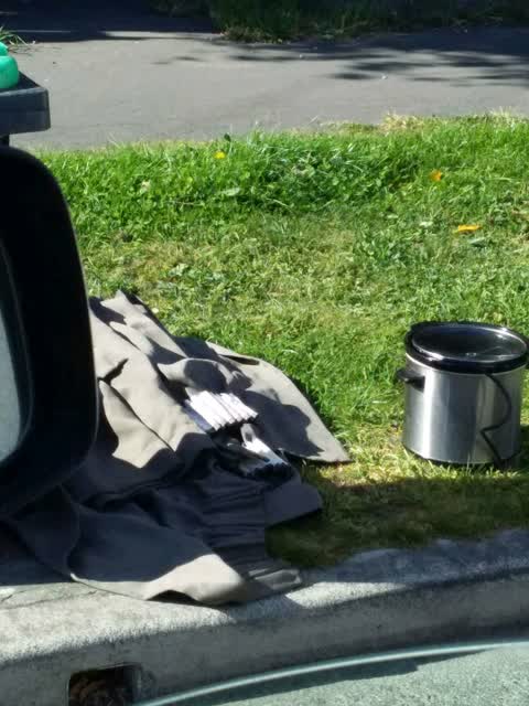 Rubbish and Bins - General, a report photo