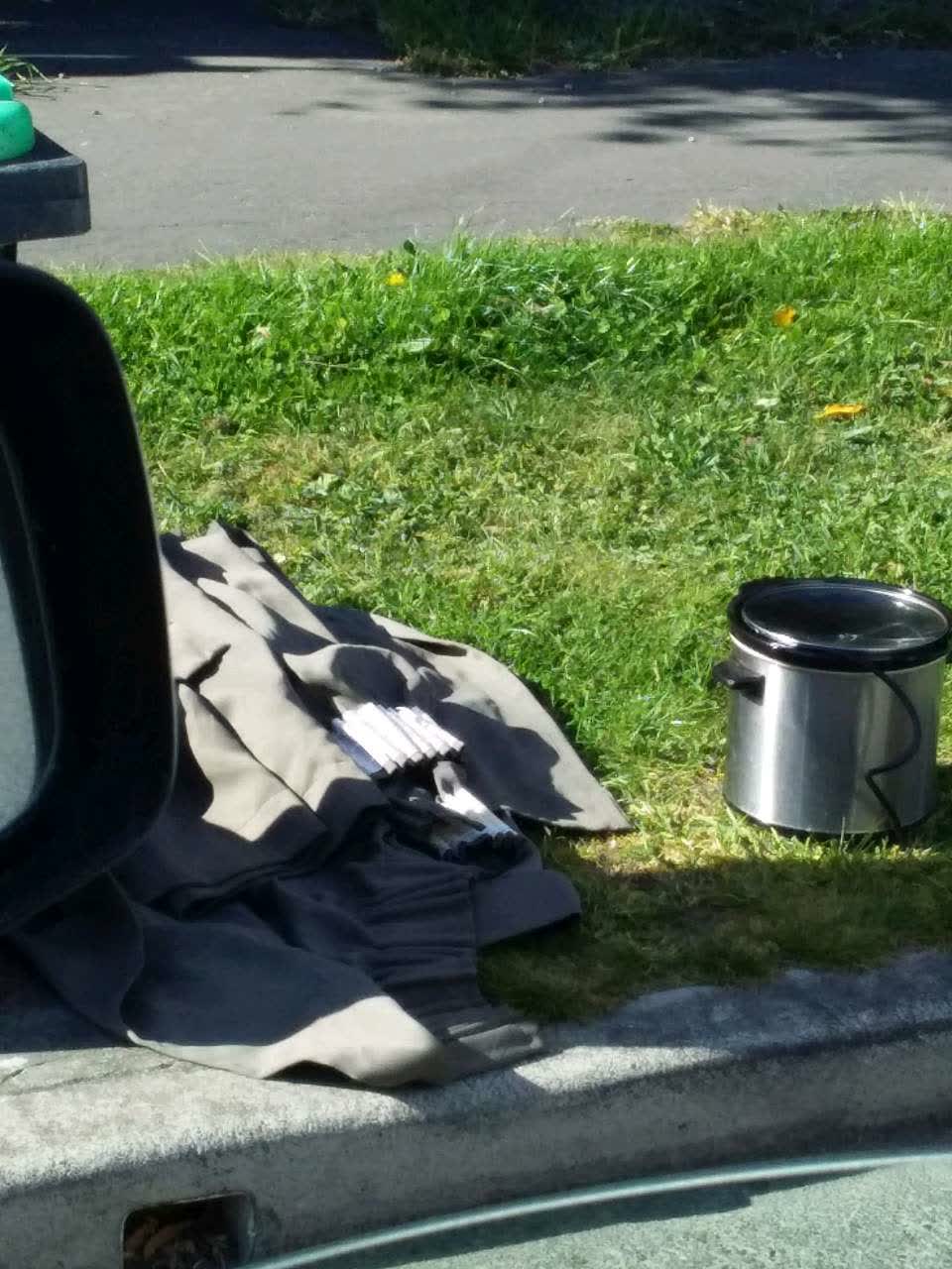 The photograph attached to this rubbish and bins - general report