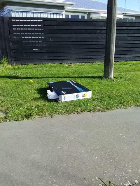 Rubbish and Bins - General, a report photo