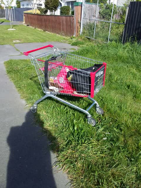 Rubbish and Bins - General, a report photo
