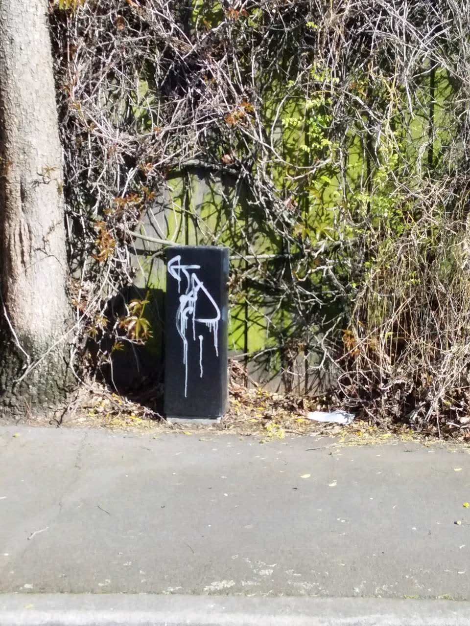 The photograph attached to this graffiti report