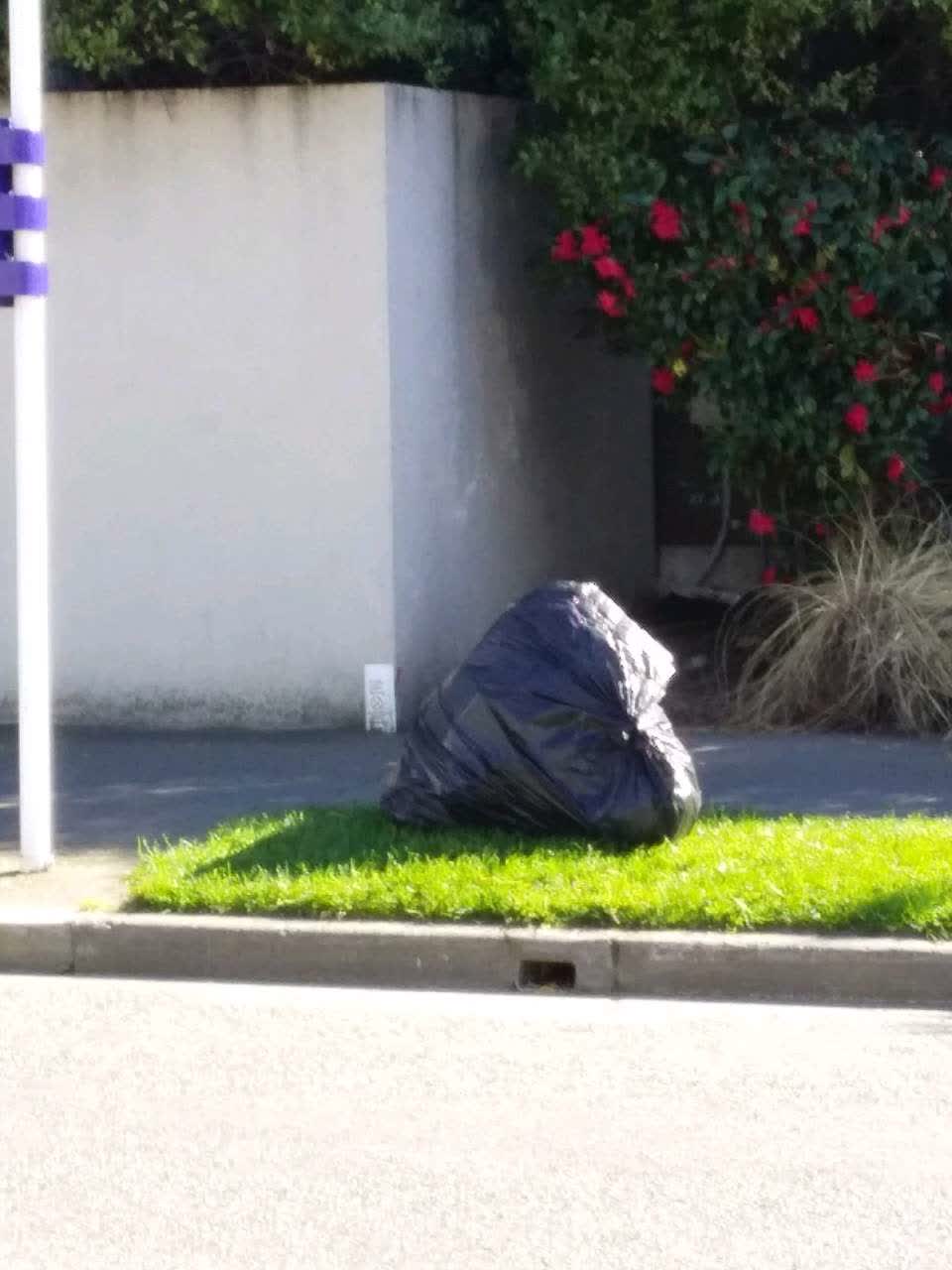 The photograph attached to this dumped rubbish report