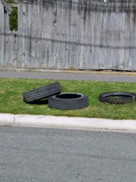 Dumped Rubbish, a report photo