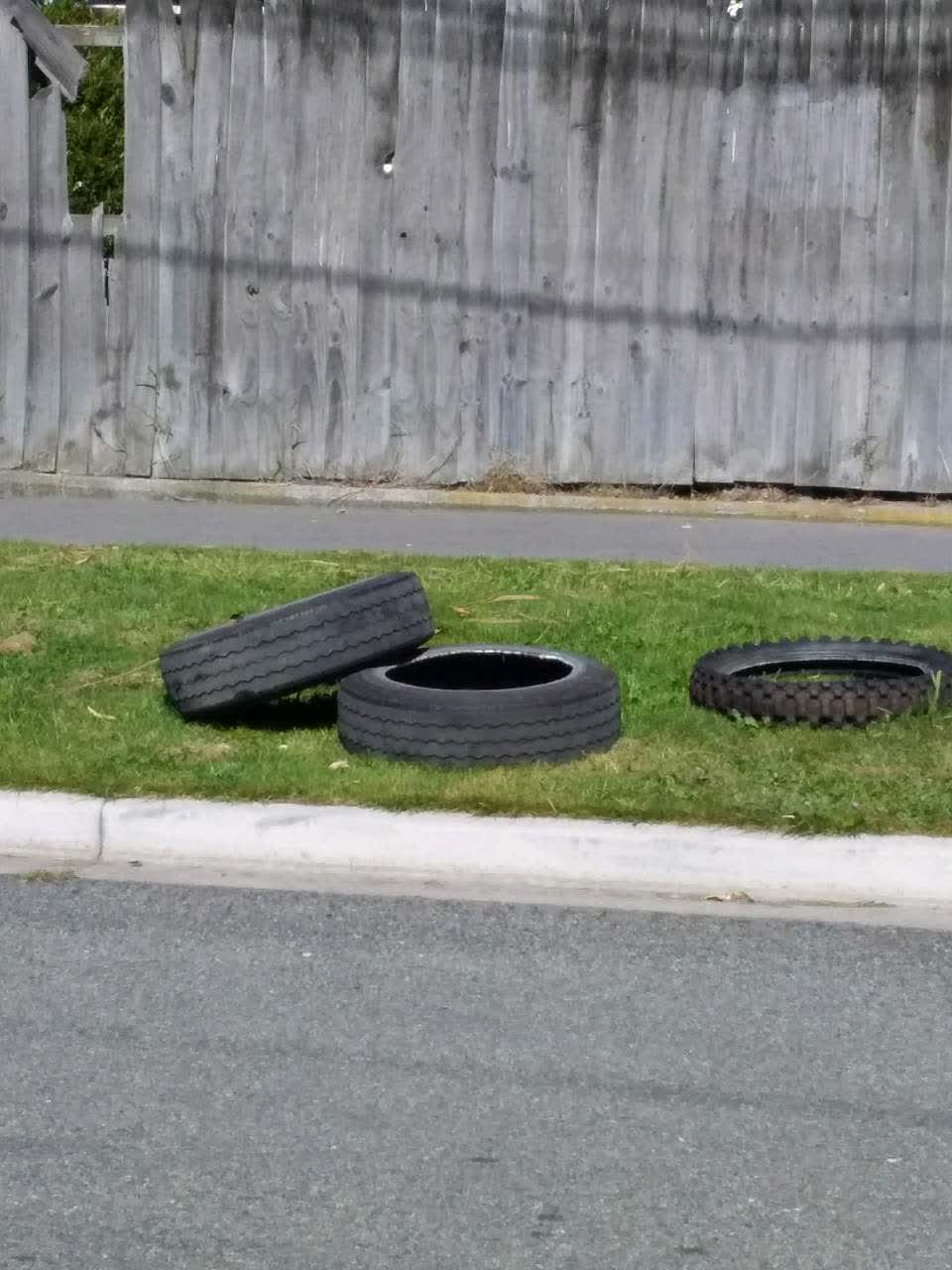 The photograph attached to this dumped rubbish report