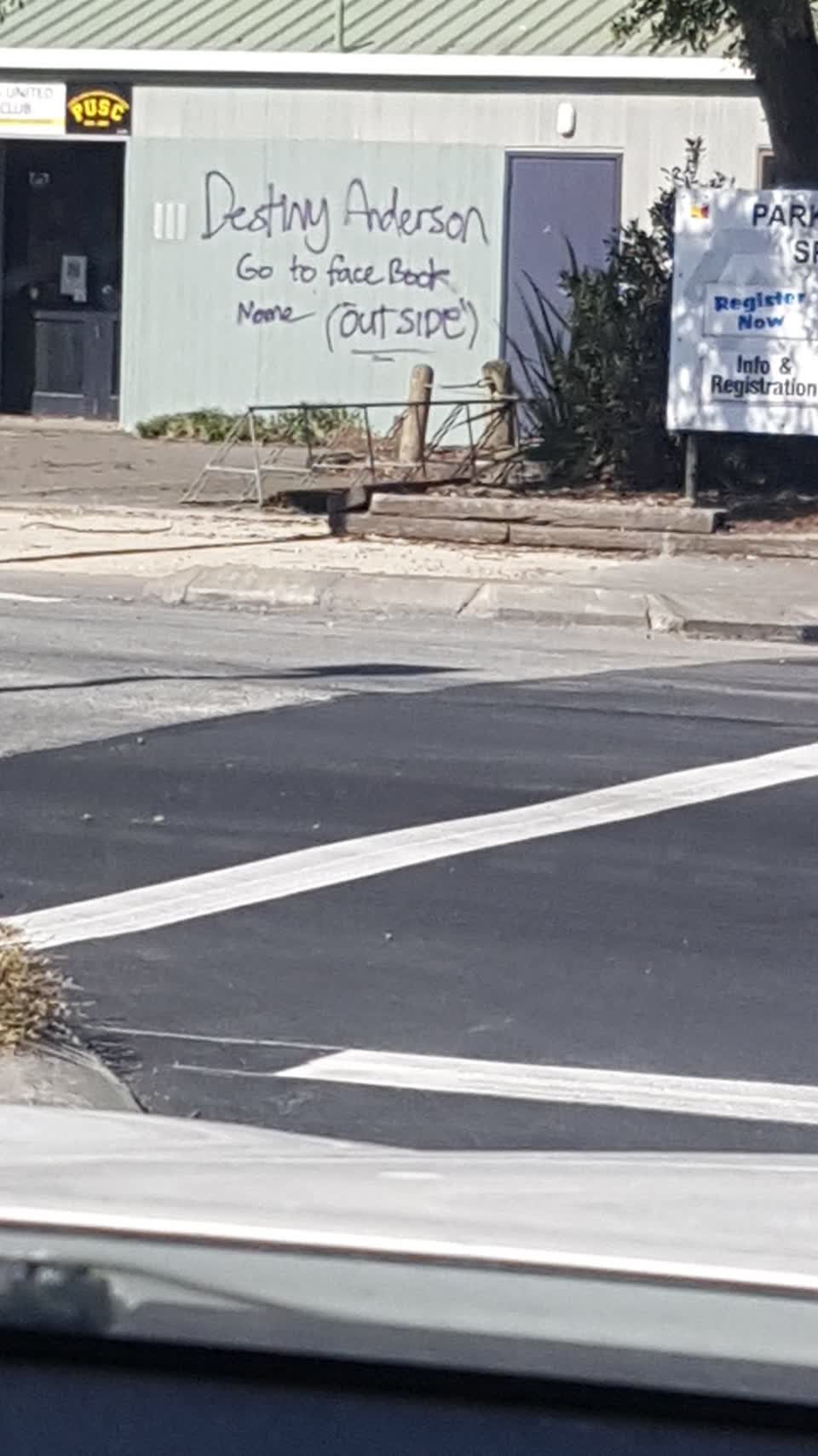The photograph attached to this graffiti - public property report