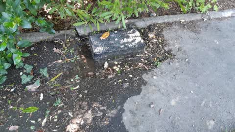 Water Leak, a report photo