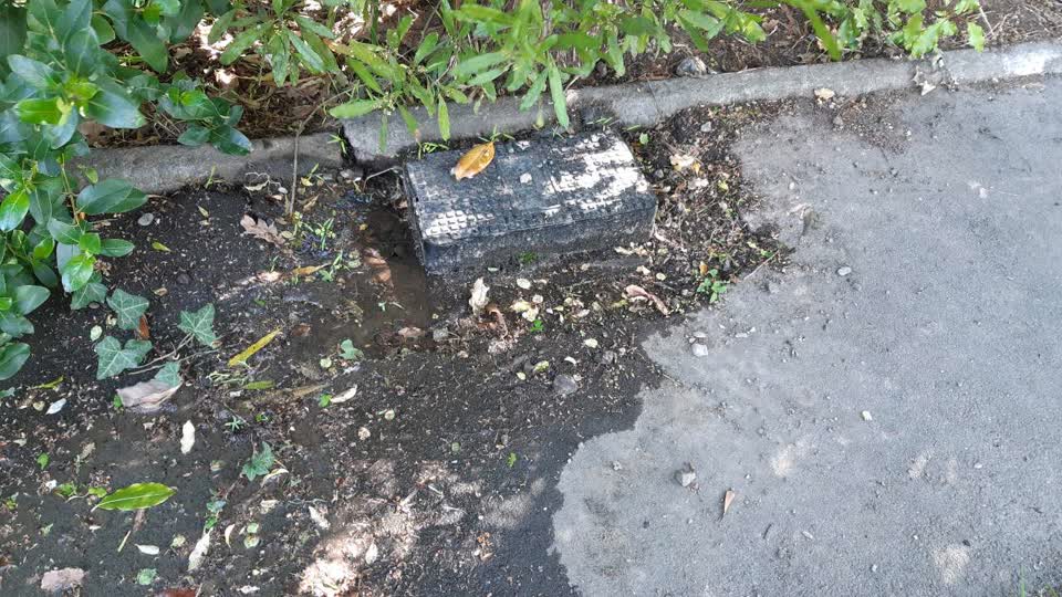 The photograph attached to this water leak report