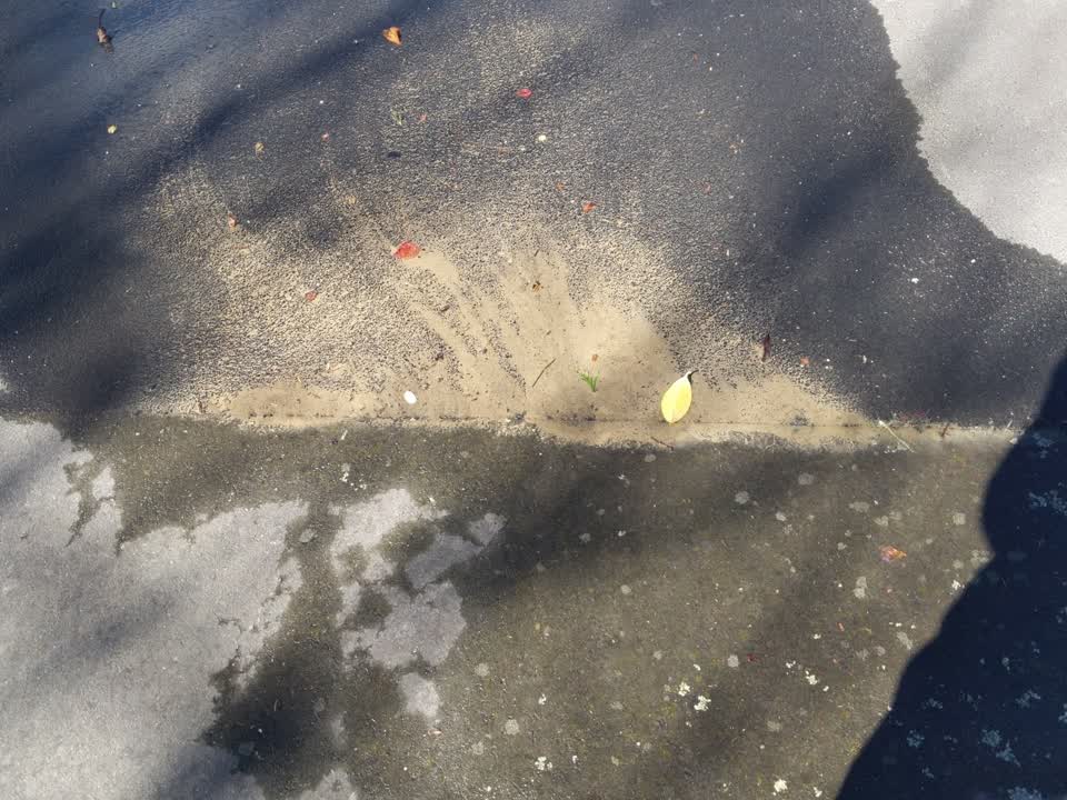 The photograph attached to this water leak report