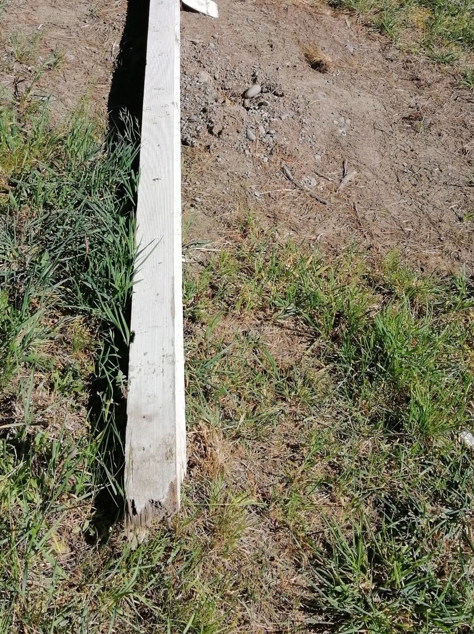 The photograph attached to this road signage report